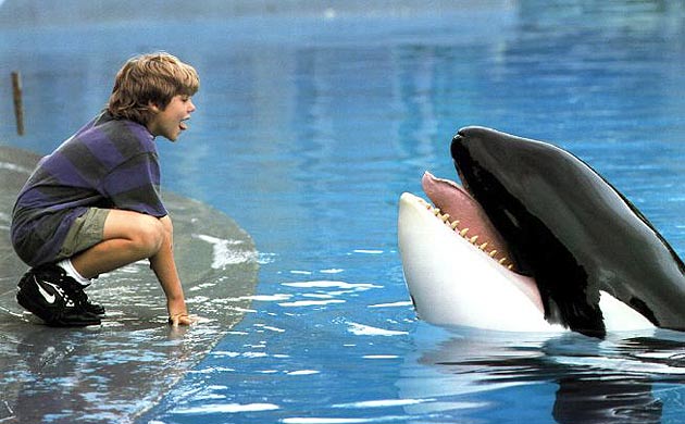 Free Willy Free Willy