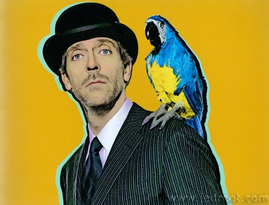 Hugh Laurie