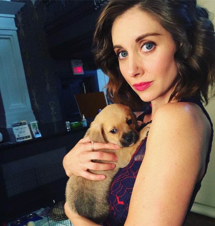 Alison Brie Alison Brie