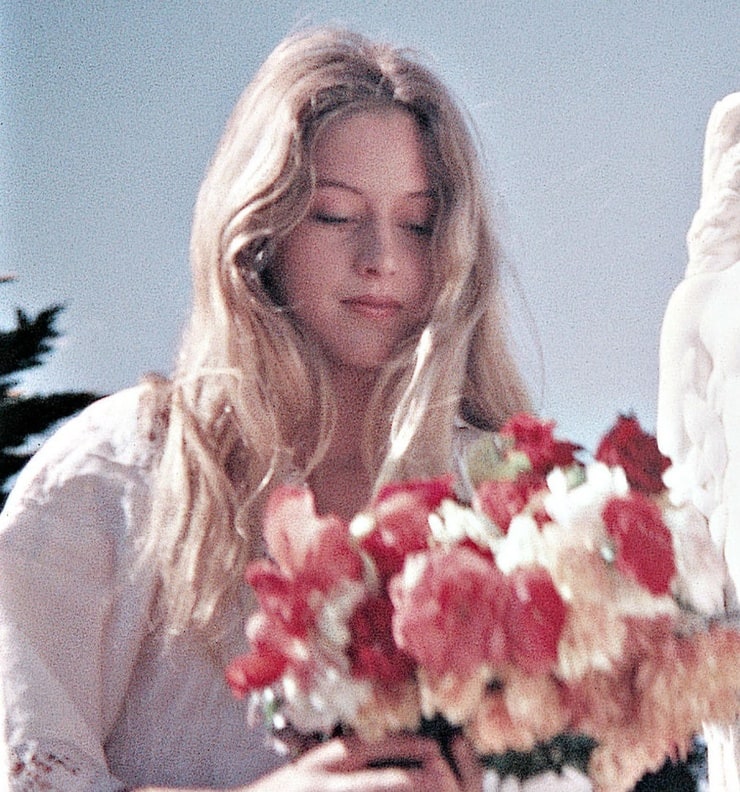 Picnic at Hanging Rock