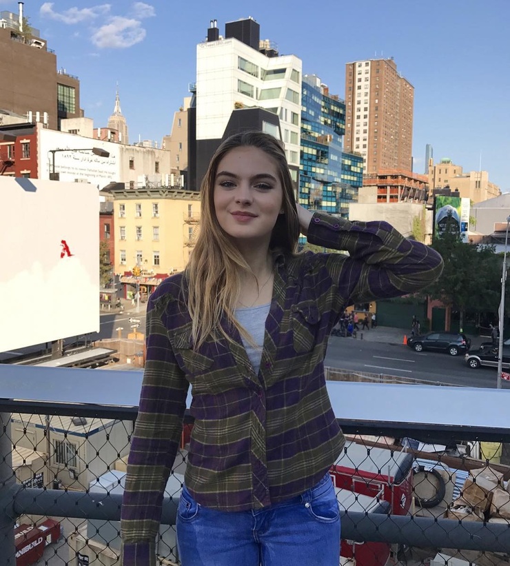Brighton Sharbino
