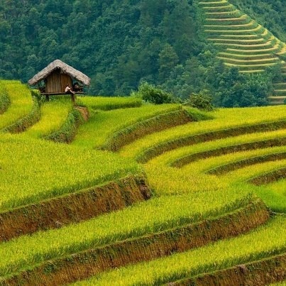 Philippines Philippines
