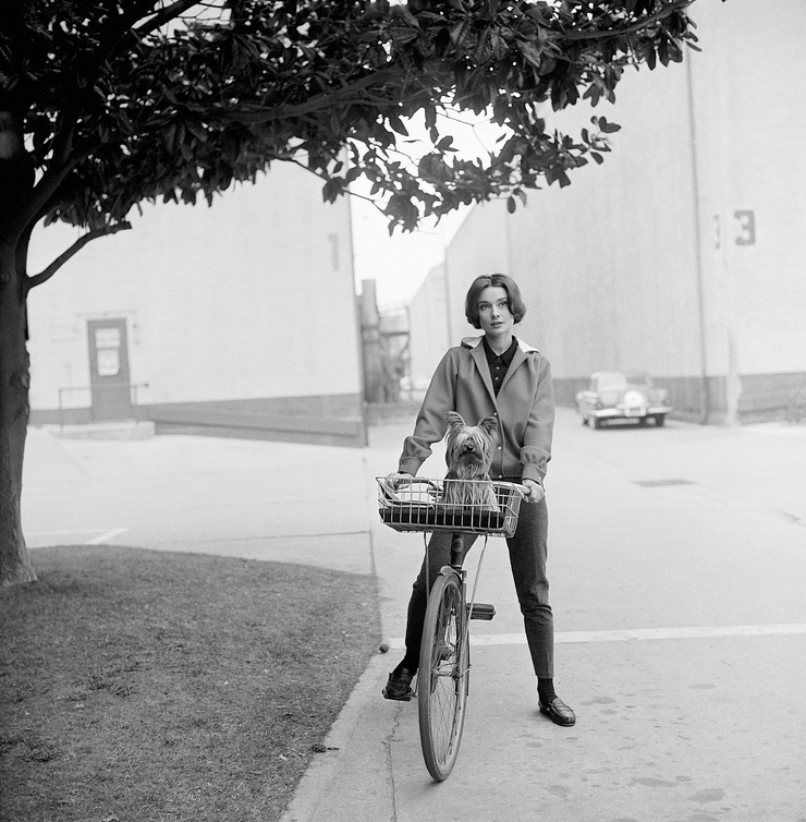 Audrey Hepburn
