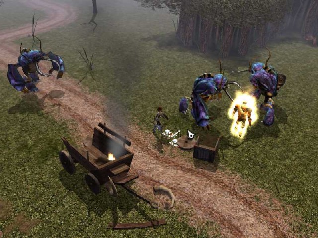 Neverwinter Nights