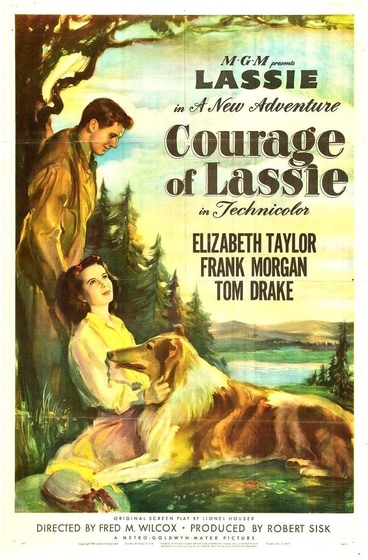 Courage of Lassie