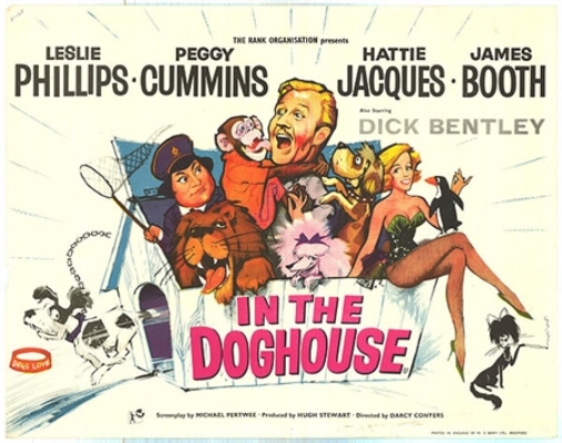 In the Doghouse