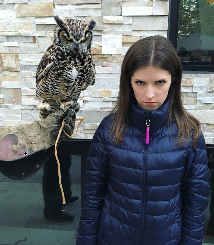 Anna Kendrick Anna Kendrick