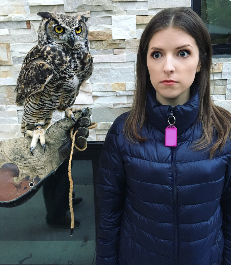 Anna Kendrick