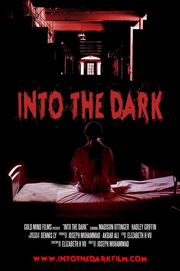 Into the Dark