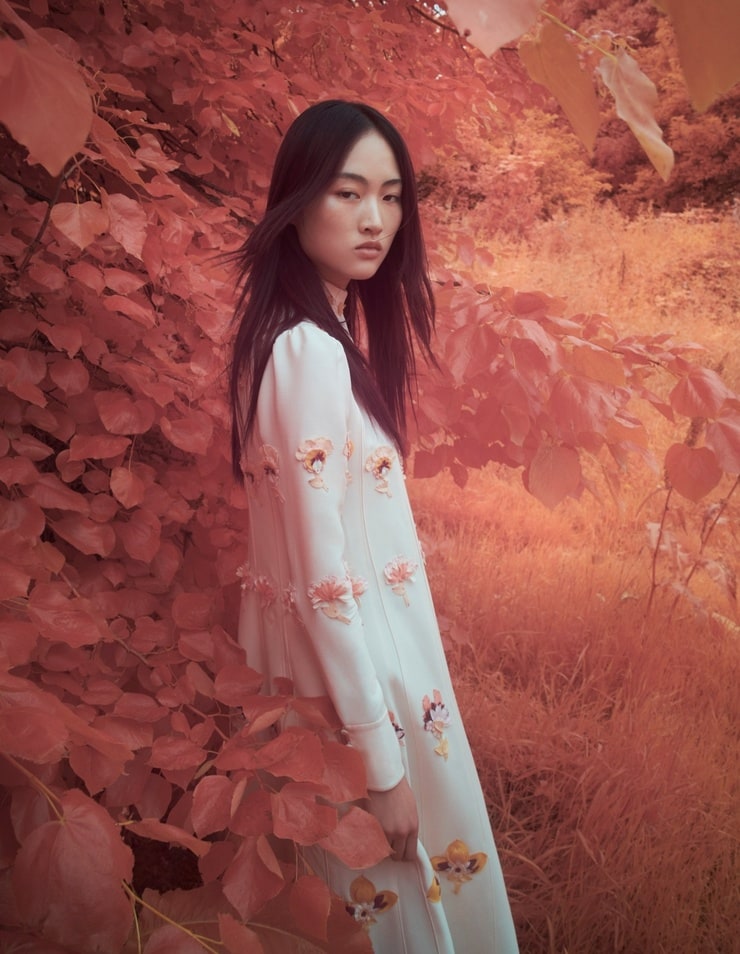 Jing Wen