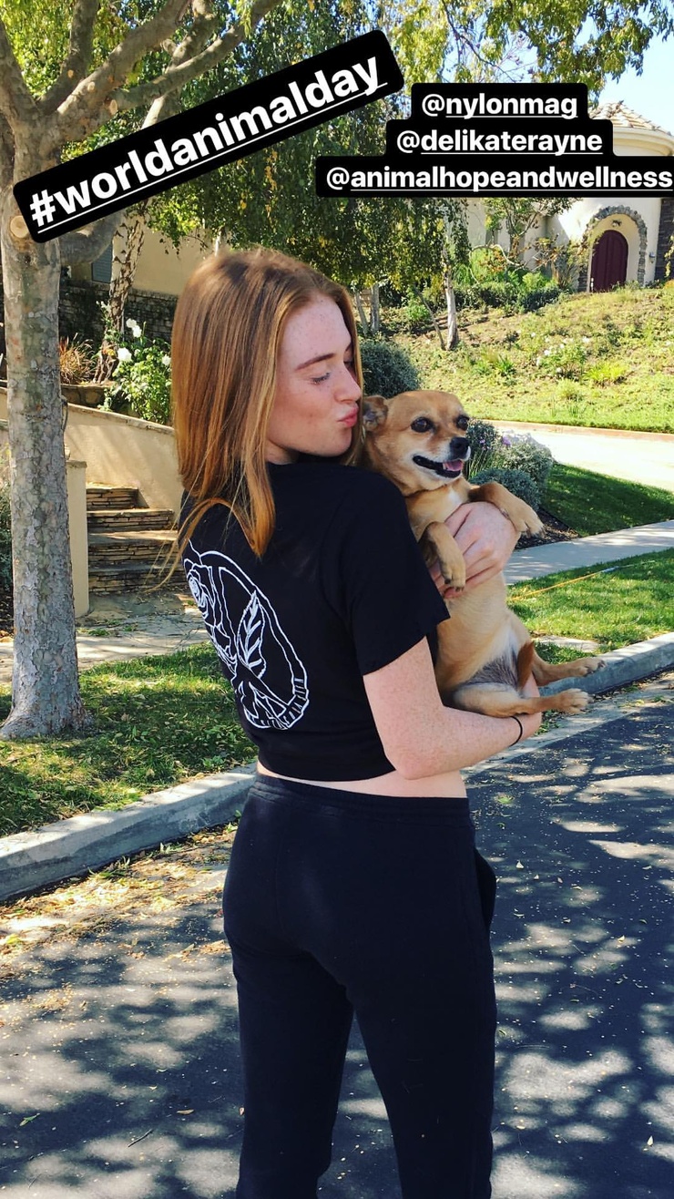 Larsen Thompson