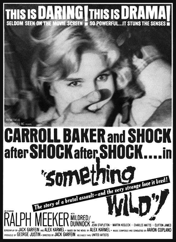 Something Wild Something Wild