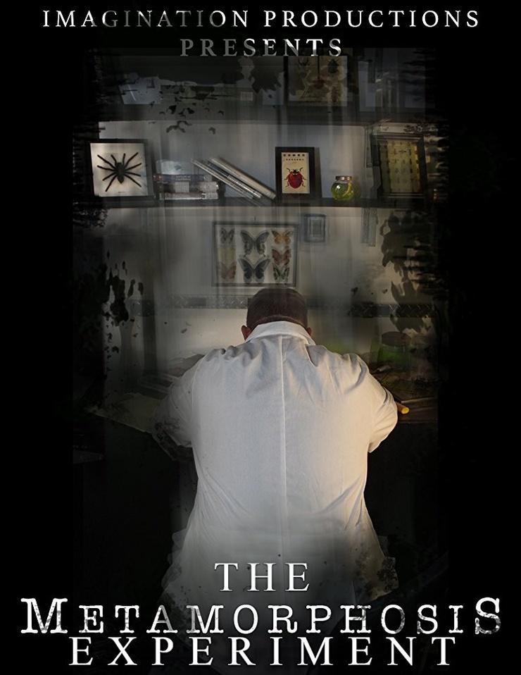 The Metamorphosis Experiment