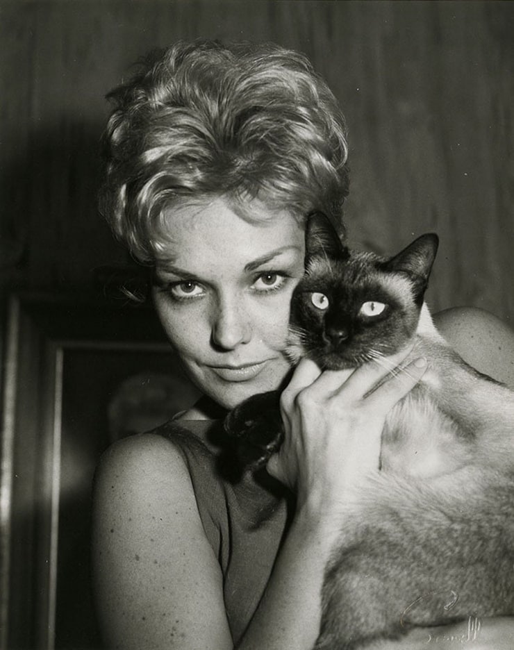 Kim Novak