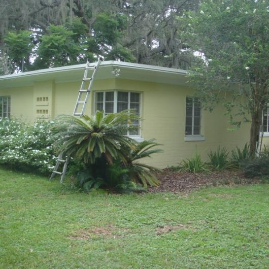 Our Yellow House itself