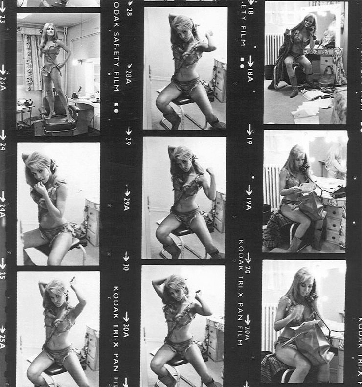 Raquel Welch