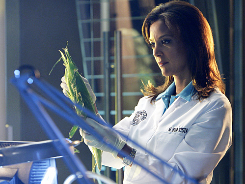 CSI: Miami