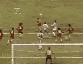 Michel Platini Michel Platini
