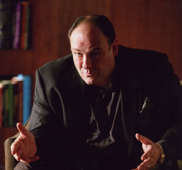 Picture of James Gandolfini