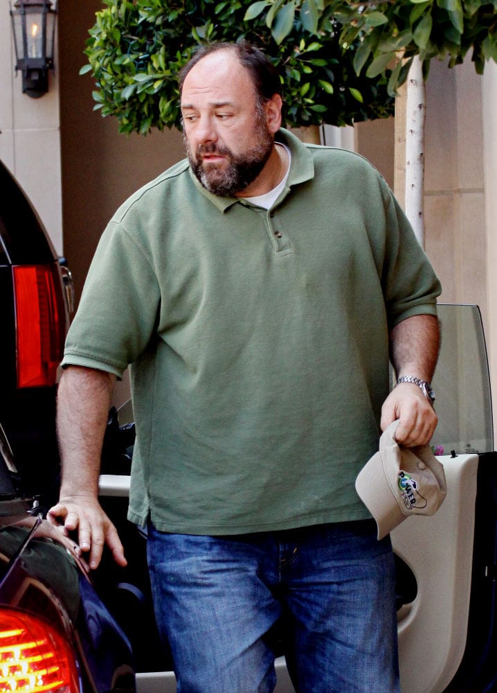 Picture of James Gandolfini