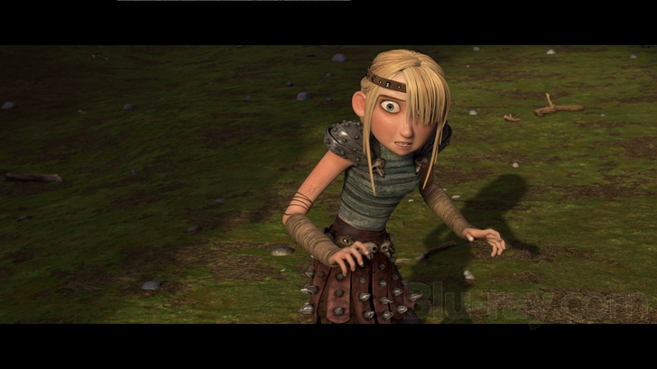 How to Train Your Dragon (Two-Disc Blu-ray/DVD Combo)