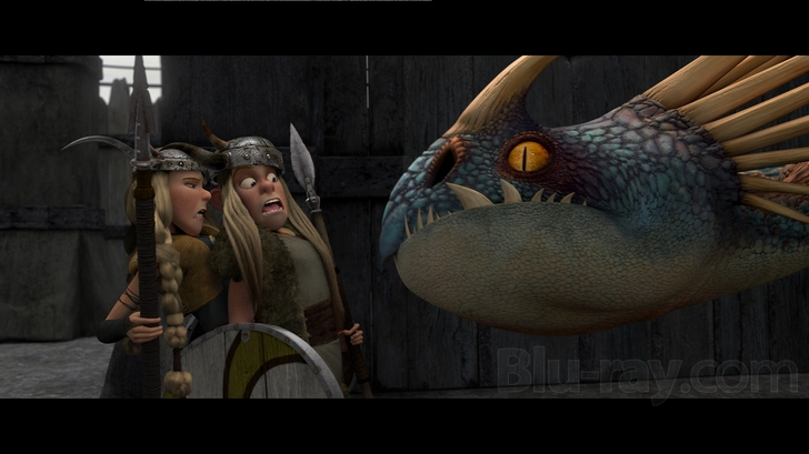 How to Train Your Dragon (Two-Disc Blu-ray/DVD Combo)
