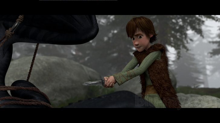 How to Train Your Dragon (Two-Disc Blu-ray/DVD Combo)