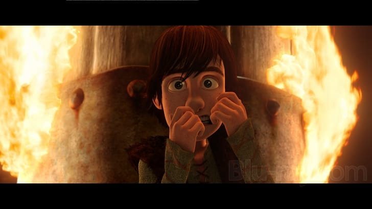 How to Train Your Dragon (Two-Disc Blu-ray/DVD Combo)