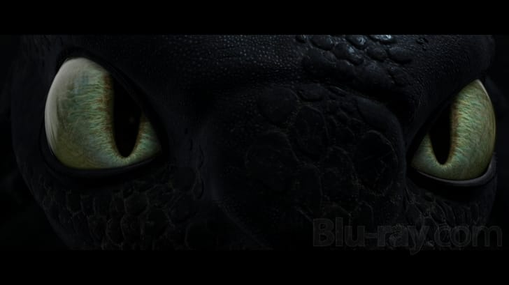 How to Train Your Dragon (Two-Disc Blu-ray/DVD Combo)