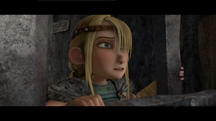 How to Train Your Dragon (Two-Disc Blu-ray/DVD Combo)