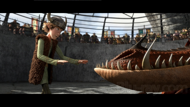 How to Train Your Dragon (Two-Disc Blu-ray/DVD Combo)