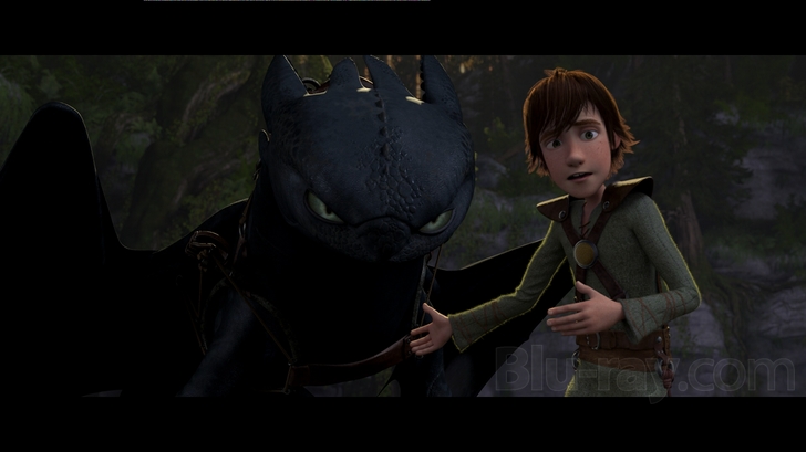 How to Train Your Dragon Blu Ray (Single Disc Blu-Ray 2010)