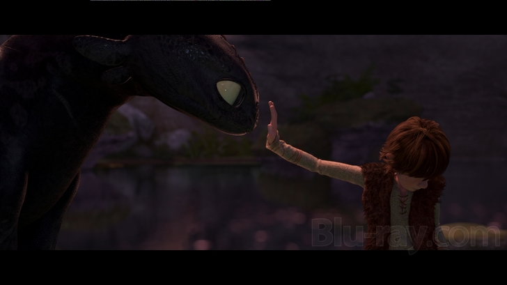 How to Train Your Dragon Blu Ray (Single Disc Blu-Ray 2010)