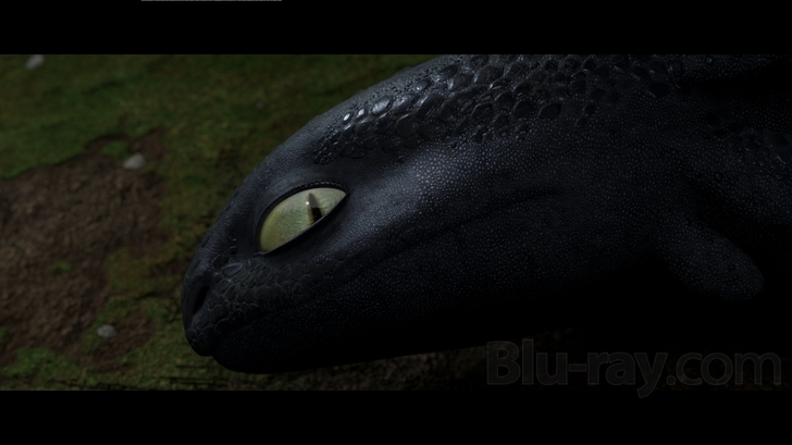 How to Train Your Dragon Blu Ray (Single Disc Blu-Ray 2010)