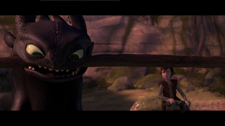 How to Train Your Dragon Blu Ray (Single Disc Blu-Ray 2010)
