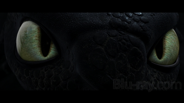 How to Train Your Dragon Blu Ray (Single Disc Blu-Ray 2010)