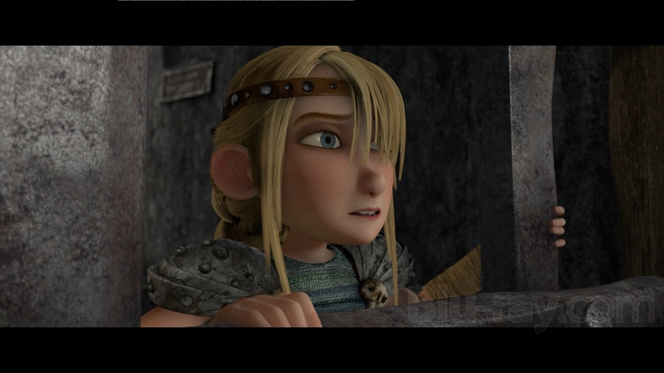 How to Train Your Dragon Blu Ray (Single Disc Blu-Ray 2010)