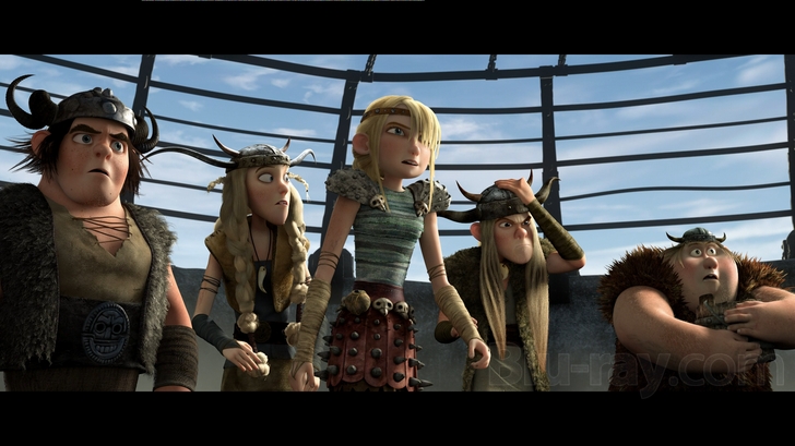 How to Train Your Dragon Blu Ray (Single Disc Blu-Ray 2010)