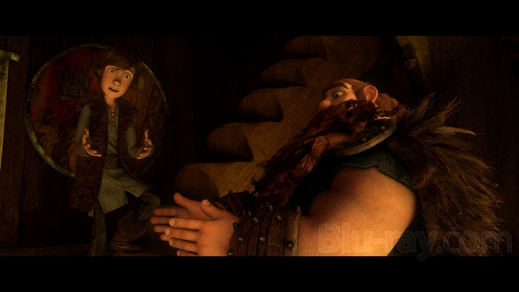 How to Train Your Dragon Blu Ray (Single Disc Blu-Ray 2010)