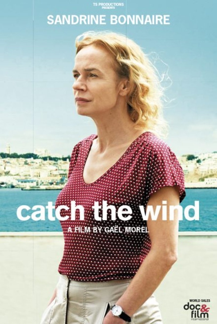 Catch the Wind Catch the Wind
