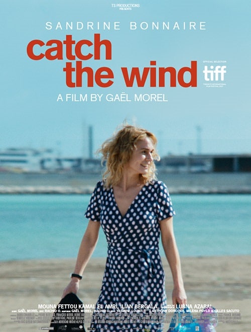 Catch the Wind