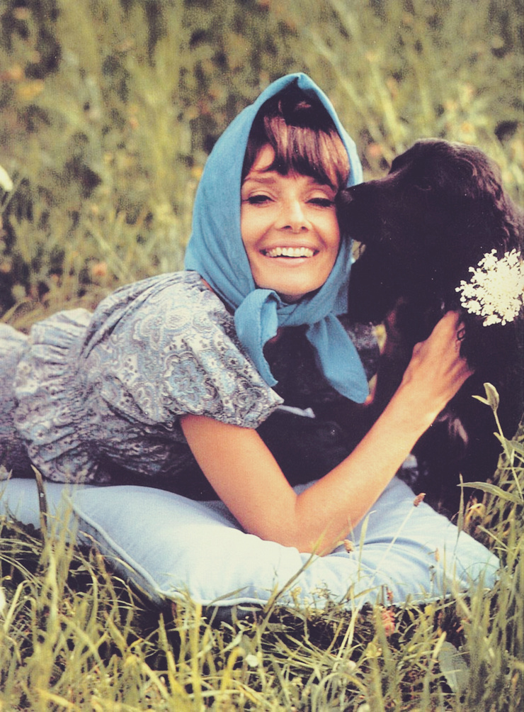 Audrey Hepburn Audrey Hepburn