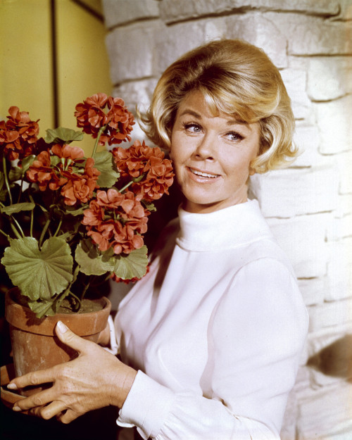 Doris Day