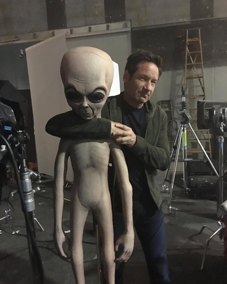 David Duchovny David Duchovny