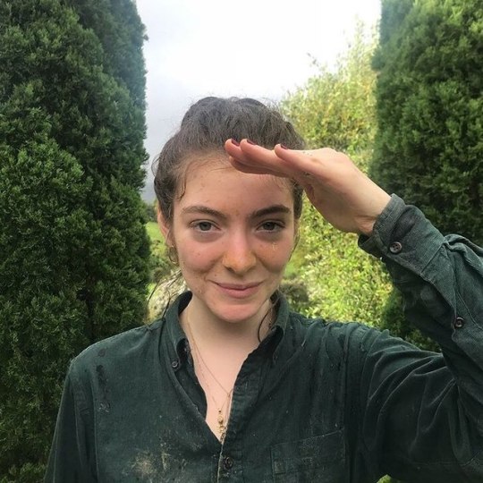 Lorde Lorde