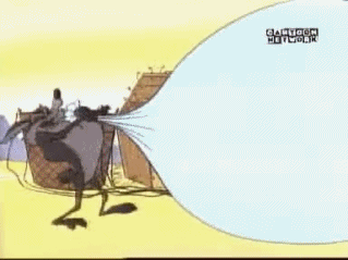 Wile E. Coyote Wile E. Coyote