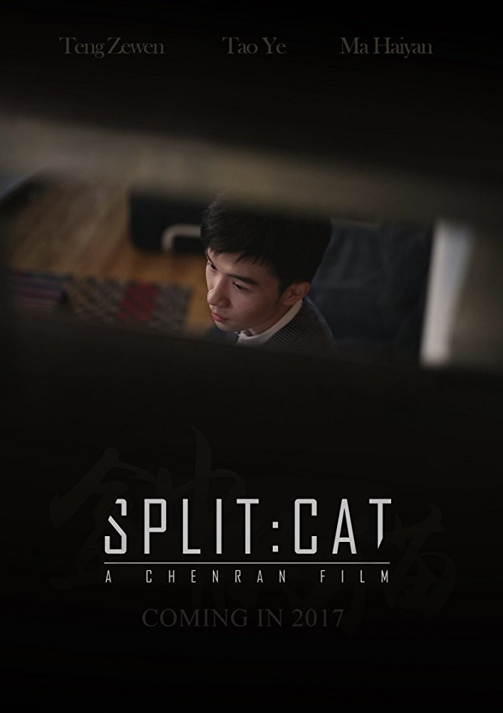 Split cat