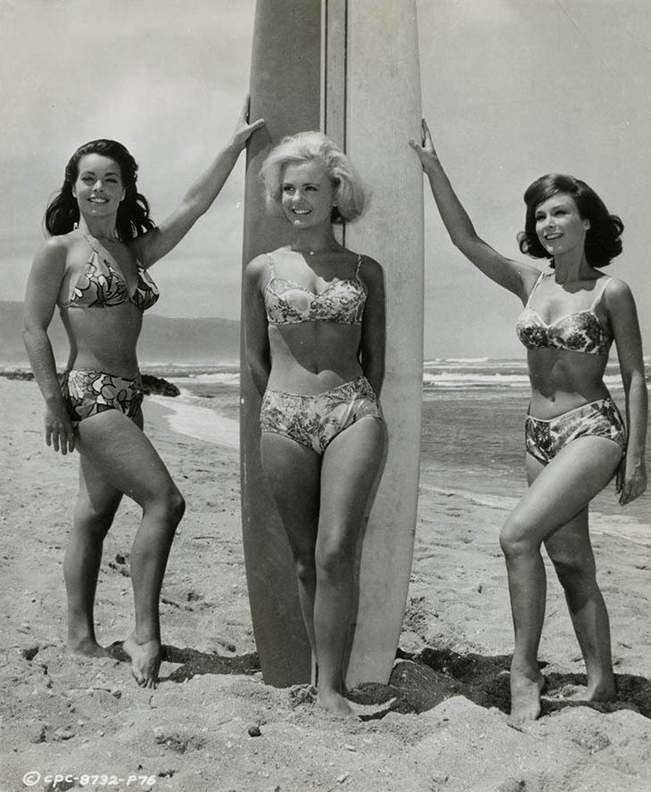 Shelley Fabares Shelley Fabares