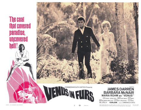 Venus in Furs