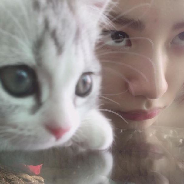 Im Jin Ah